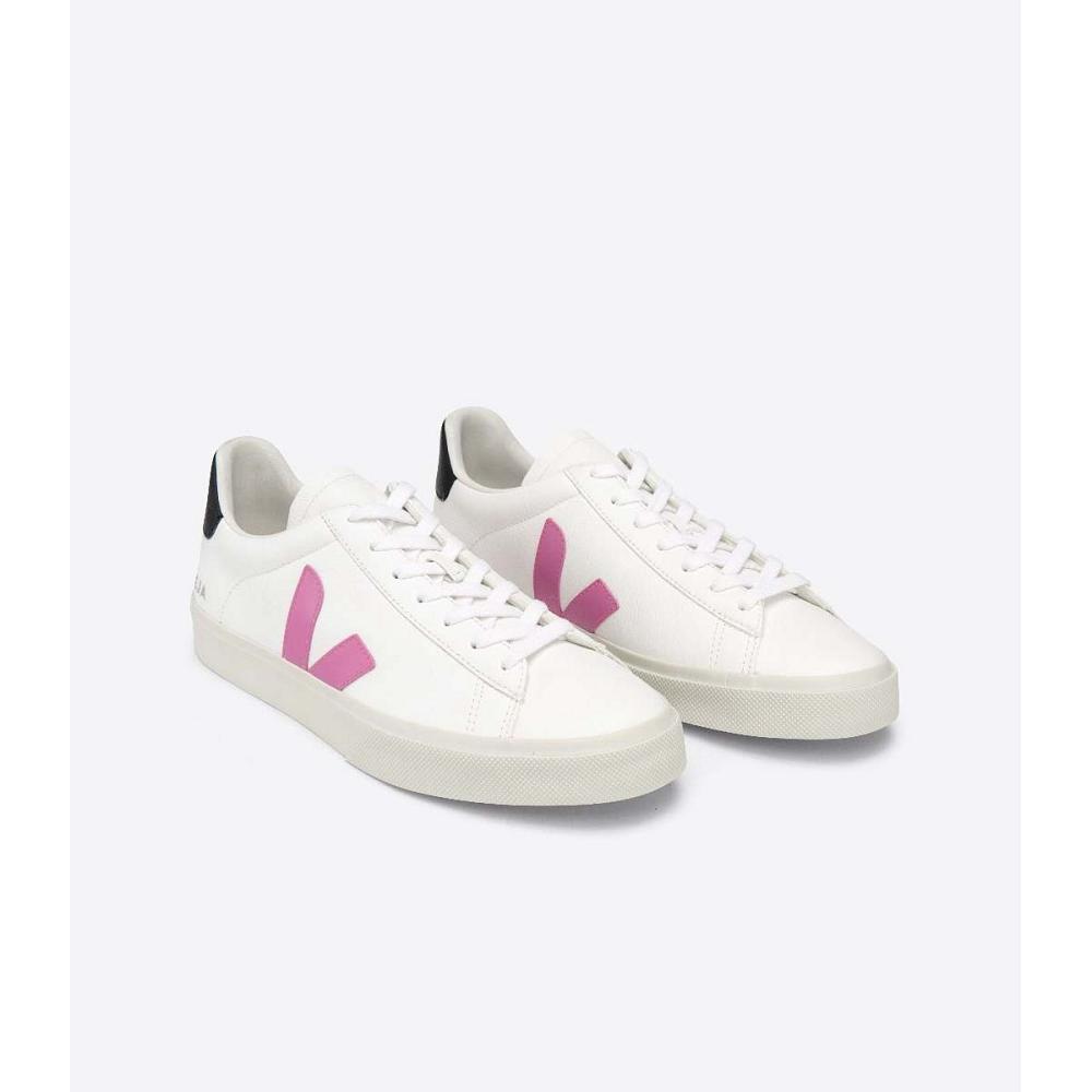 Veja CAMPO CHROMEFREE Women's Low Tops Sneakers White/Purple | CA 597FDN